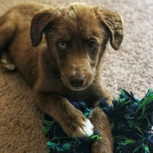 Meet your Posher, Richard